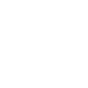 Partner Bitbrain