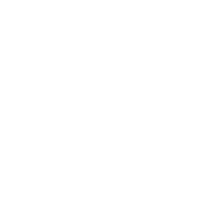 BM Sportech